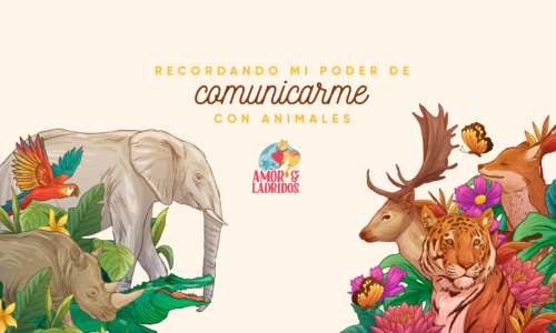 Curso- Recordando mi poder de comunicarme con animales