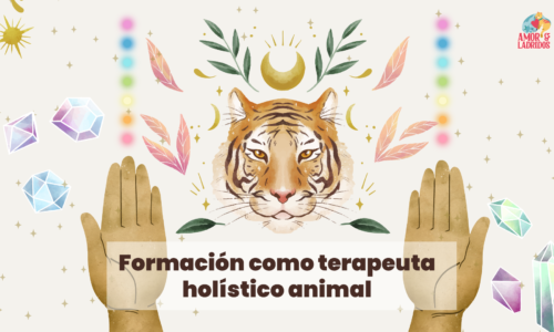 Formación como terapeuta holístico animal