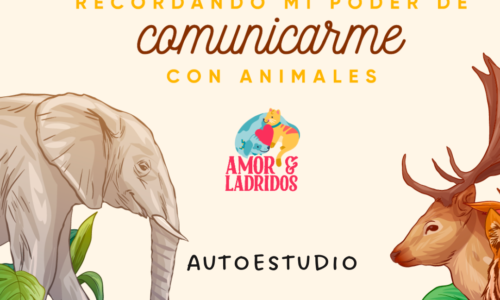 Curso- Recordando mi poder de comunicarme con animales LITE