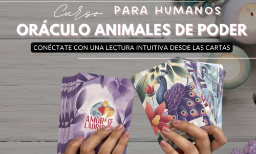 Curso oráculo animales de poder