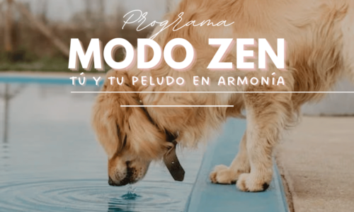 Programa MODO ZEN: Tú y tu peludito en armonía